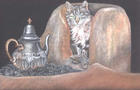 Berber house cat, Ourika Valley. Morocco - pastel crayon
